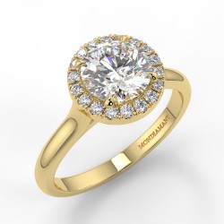 Lucia - Diamant 1.00 carat - Or jaune category